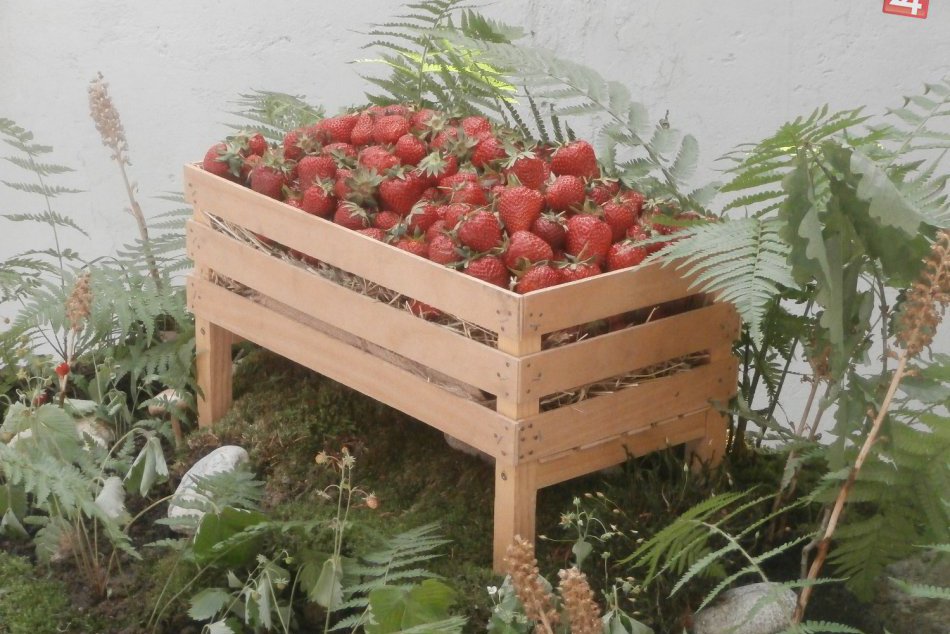 Ilustračný obrázok k článku Blíži sa letný Natur trh: Vo Zvolene sa prezentujú šikovné ruky z regiónu, tešte sa na program pre celú rodinu