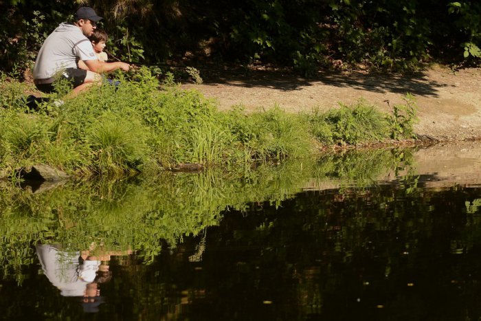 Ilustračný obrázok k článku Lesopark má len šesť z desiatich studničiek s pitnou vodou