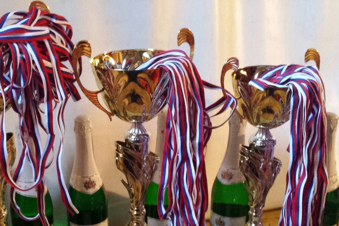 Ilustračný obrázok k článku Prešovská hokejbalová liga vrcholí: Výsledky prvých zápasov o medaily sú známe!