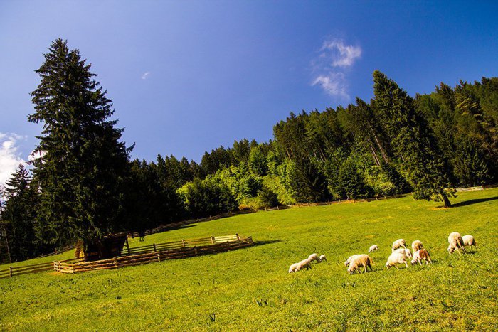 Ilustračný obrázok k článku Letná sezóna sa otvárala v Čutkove. Liptov núka aktívny oddych a originálne tradície