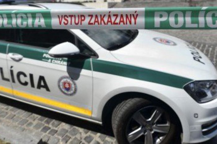 Ilustračný obrázok k článku Veronika (18) spolu s ďalšou tínedžerkou (11) na lupe v rodinnom dome: Okradli dôchodkyňu (80)!