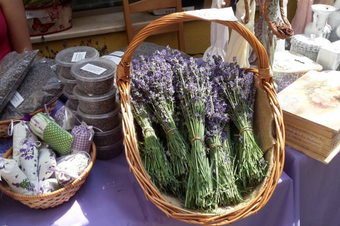 Ilustračný obrázok k článku Levanduľa rozvoniava Obchodnou ulicou. Prídite sa pozrieť na Levanduľové trhy do dvora 66