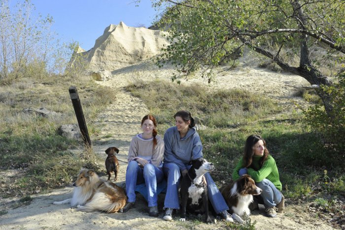 Ilustračný obrázok k článku Na Devínskej Kobyle obnovia chránené stepné územia