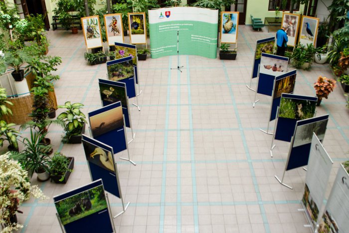 Ilustračný obrázok k článku Výstava v átriu ministerstva životného prostredia pripomína ničivú povodeň z roku 1965