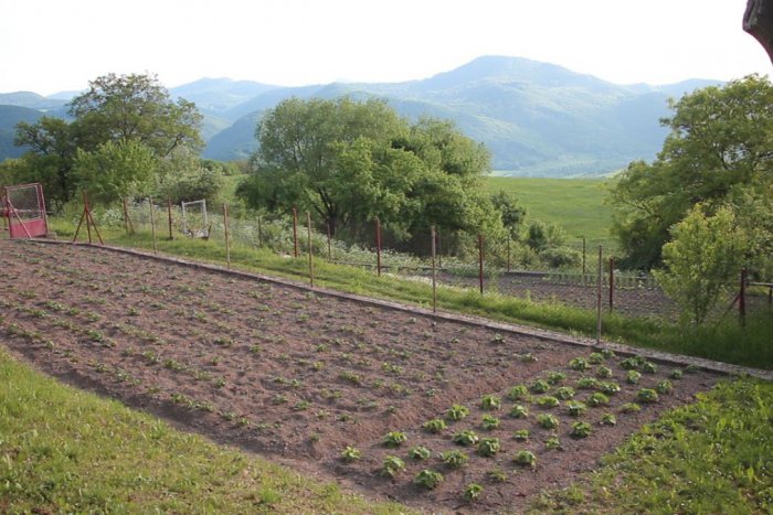 Ilustračný obrázok k článku Dom v Trnavej Hore na predaj: Parádny výhľad, pekná záhrada, priaznivá cena!