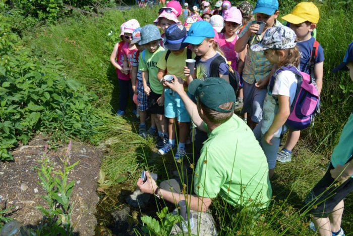 Ilustračný obrázok k článku Zaujímavý deň škôlkárov: Učenie v prírode si pochvaľovali