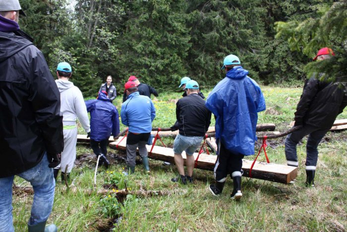 Ilustračný obrázok k článku Pomohlo až 200 dobrovoľníkov: Na Poľane zrekonštruovali turistické chodníky a pribudli aj informačné panely