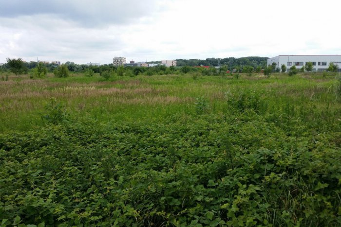 Ilustračný obrázok k článku V Petržalke má vyrásť najväčší rodinný park na Slovensku