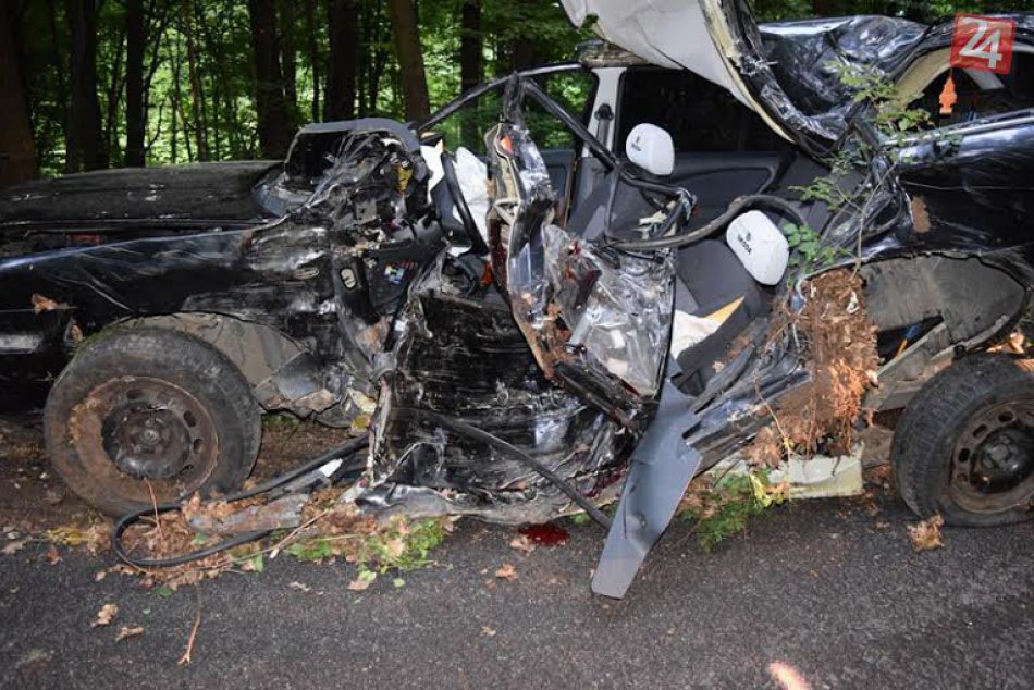 Ilustračný obrázok k článku Tínedžer (†18) zišiel z cesty a narazil do stromu: Na mieste mŕtvy! FOTO z miesta tragédie