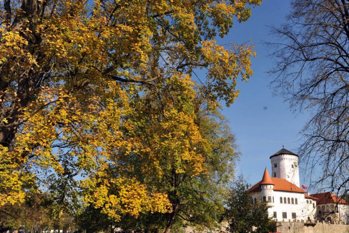 Ilustračný obrázok k článku V Budatíne zaznejú rýmované rozprávky: Feldek bude učiť Žilinčanov písať rýmy