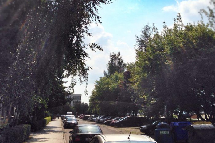 Ilustračný obrázok k článku Nové parkovisko na sídlisku Západ vyvolalo búrlivé reakcie: Čo na to predseda mestského výboru?