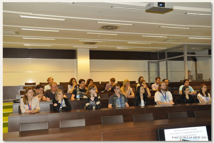 Ilustračný obrázok k článku Do Košíc zavíta asi 150 mladých medikov z 36 krajín: Pozrite sa, čo je za tým!