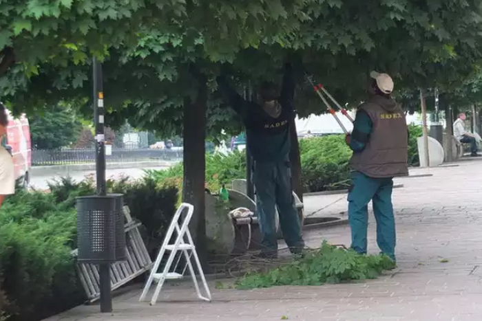 Ilustračný obrázok k článku Staré Mesto začalo upravovať živé ploty a pustí sa aj do orezov stromov