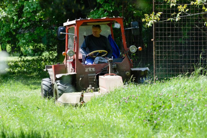 Ilustračný obrázok k článku Kosenie v Hlohovci v plnom prúde: Aktuálny harmonogram na najbližšie týždne!