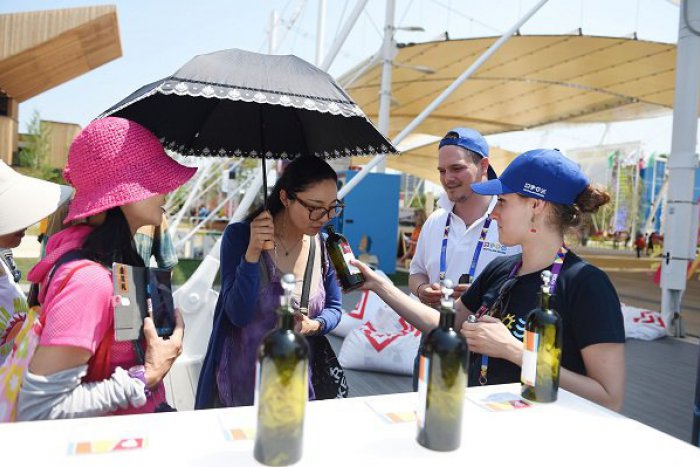 Ilustračný obrázok k článku Milánske Expo spoznáva to najlepšie z Bratislavského kraja - slovenskú vedu, prírodu a aj víno