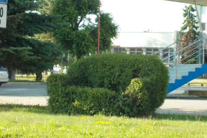 Ilustračný obrázok k článku Zaujímavosť, ktorá v Spišskej upúta váš pohľad: Takúto sedačku sme v meste ešte nemali