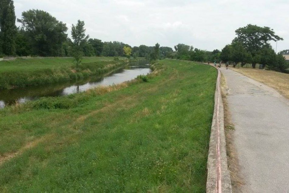 Ilustračný obrázok k článku Aktivisti mali plné ruky práce: FOTO, čo všetko našli pri hrádzi