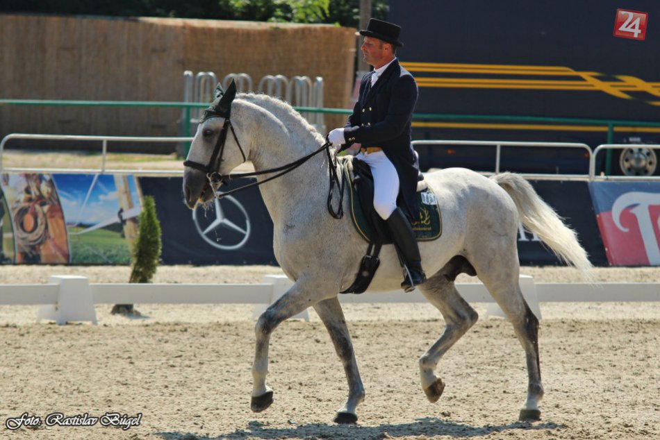 Ilustračný obrázok k článku Vyhodnotenie drezúrnej sezóny: Ako sa umiestnili jazdci a kone z Topoľčianok?