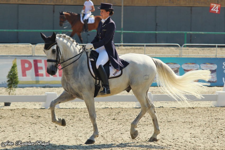 Ilustračný obrázok k článku Národný žrebčín ožije ďalším jazdeckým podujatím: Blížia sa MSR v drezúre