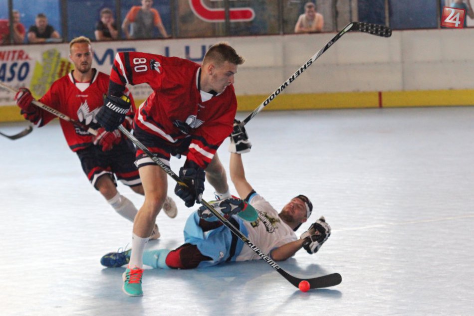 Ilustračný obrázok k článku Stümpel Cup uzavrel dvadsiatu kapitolu: Titul získal Dream team