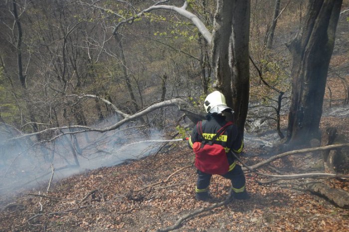 Ilustračný obrázok k článku Hasiči zasahujú pri požiari porastu v Rači