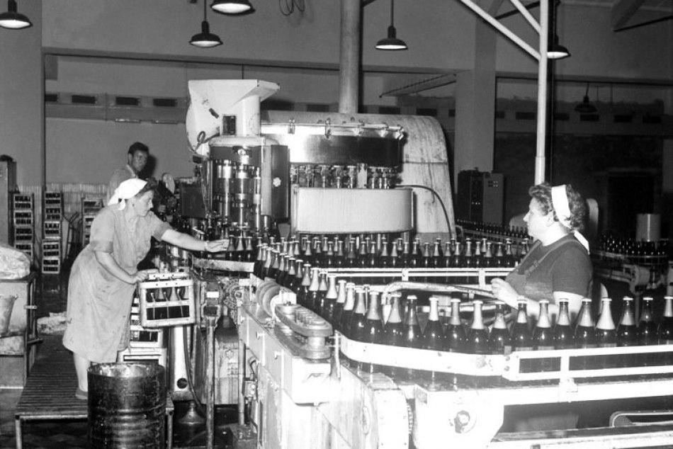 Ilustračný obrázok k článku História pivovarníctva v Hlohovci: Varili sa tisíce litrov denne a skrátka neobišli ani kravy z okolia