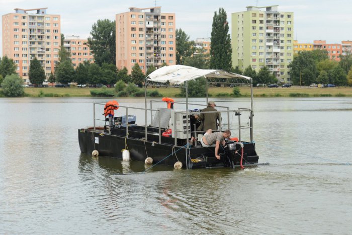 Ilustračný obrázok k článku Boj proti siniciam naplno rozbehnutý: Pozrite, kedy jazero sprístupnia a koľko zaň magistrát zacvaká!