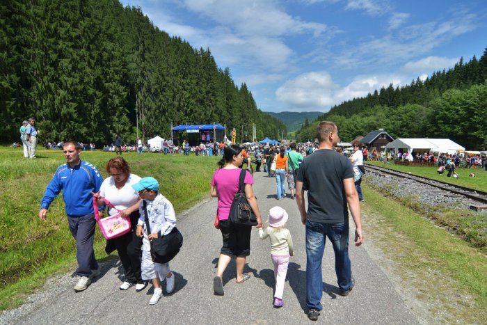 Ilustračný obrázok k článku Deň stromu sa nezadržateľne blíži. Do Vydrova mieri vzácna medzinárodná návšteva