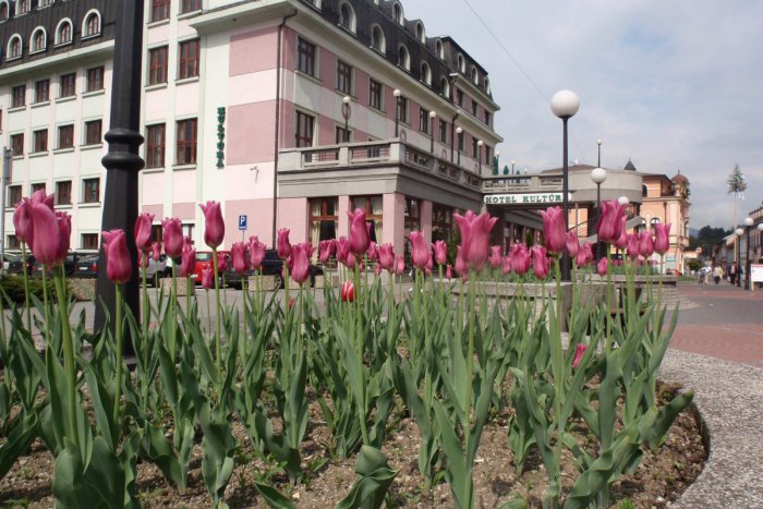 Ilustračný obrázok k článku V Hoteli Kultúra boli vyhlásení najlepší vo Fortuna lige uplynulej sezóny