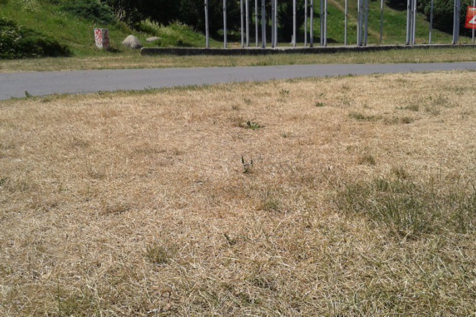 Ilustračný obrázok k článku Mladého Popradčana (25) obvinili zo znásilnenia. Polícia: Ženu hodil na trávu, vyzliekol, bil a znásilnil!