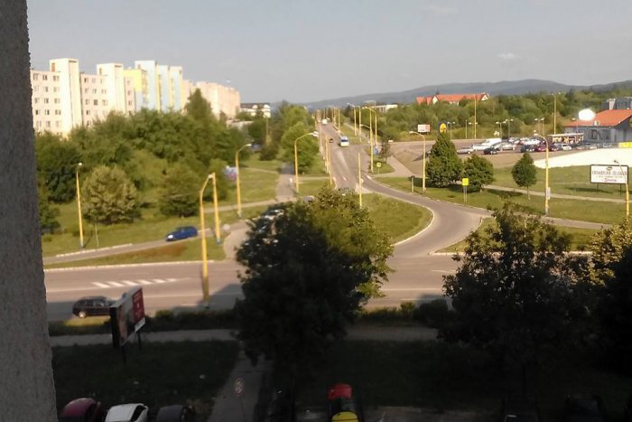 Ilustračný obrázok k článku Košičanka informuje vecne a trefne, no postarala sa o humor: Čo sa skrýva za týmto stromom? :)