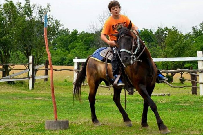 Ilustračný obrázok k článku Tábor s koňmi praská vo švíkoch: Účasť majú aj zo Španielska