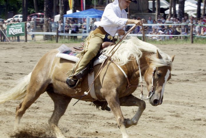 Ilustračný obrázok k článku Abeland: Miesto tradícií a zábavy pre deti i dospelých