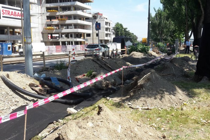 Ilustračný obrázok k článku Prichádza dunajská promenáda kvôli výstavbe Zuckermandelu o zeleň? Investor tvrdí, že jej objem neskôr zdvojnásobí