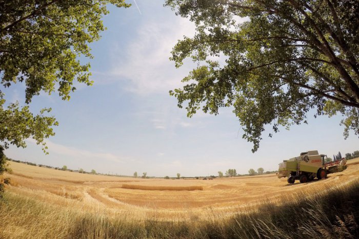 Ilustračný obrázok k článku Ministerstvo životného prostredia pripravuje akčný plán: Chce bojovať so suchom