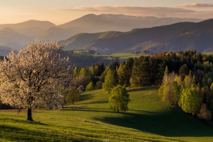 Ilustračný obrázok k článku Pustite si toto VIDEO a ostanete paf: Famózne časozberné zábery z našej prírody