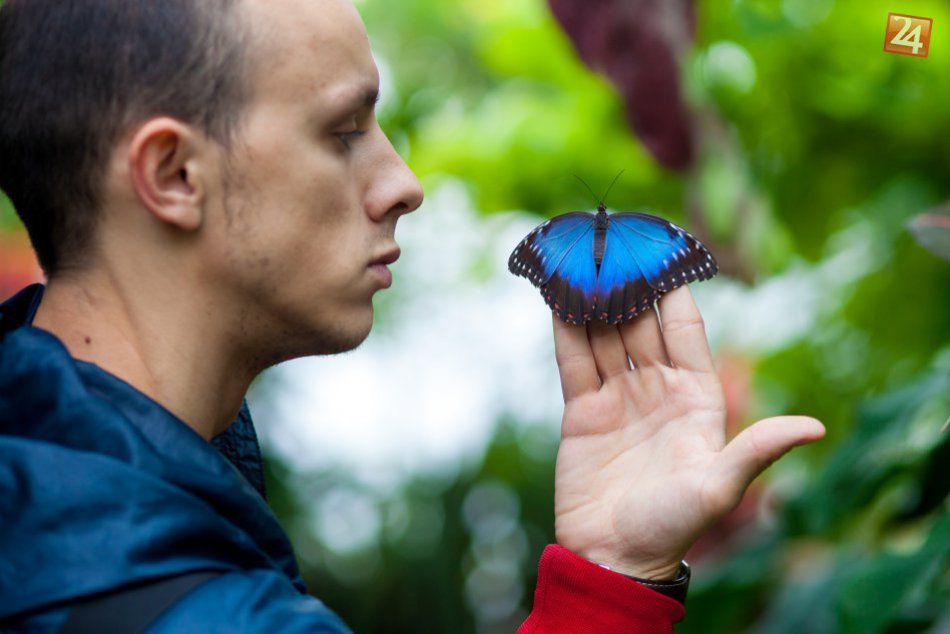 Ilustračný obrázok k článku Fotograf, ktorý cvaká nefalšovanú krásu: Matúš prezradil, kde v okolí Hlohovca si prídete na svoje!