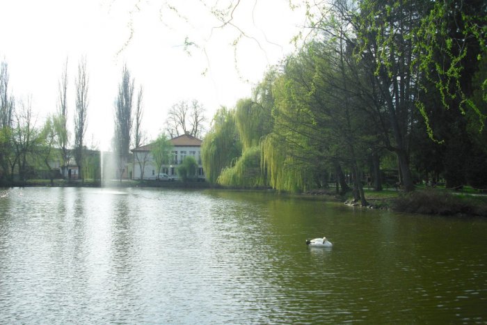 Ilustračný obrázok k článku Už onedlho pribudnú do zvieracej rodiny lučeneckého parku noví členovia: Môžete si ich dokonca aj adoptovať