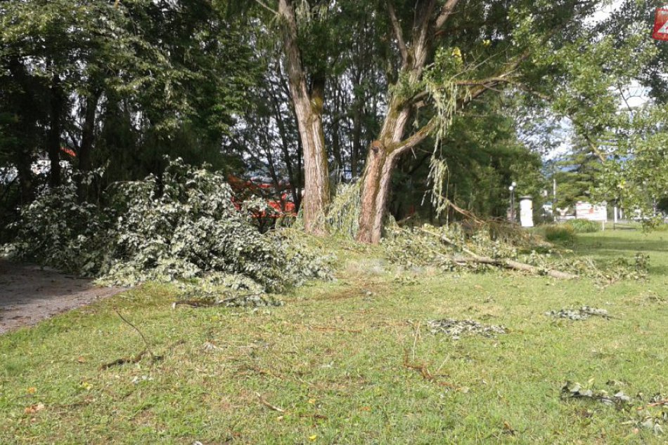 Ilustračný obrázok k článku Zábery z bystrických ulíc: Silné búrky v meste vylamovali konáre aj celé stromy!