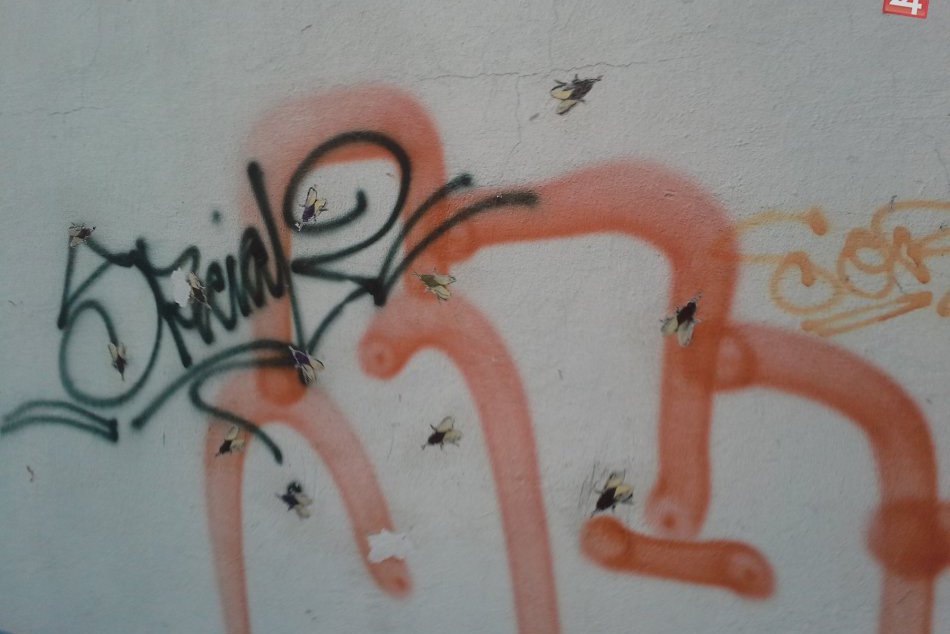 Ilustračný obrázok k článku Schátraná škola na Povrazníku: Župa má riešenie, chce ho prebrať so Štiavničanmi