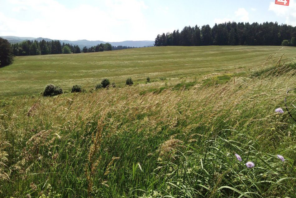 Ilustračný obrázok k článku Mesto mení stratégiu tvorby cien pozemkov: 4 podklady, z ktorých sa v Poprade bude  vychádzať!