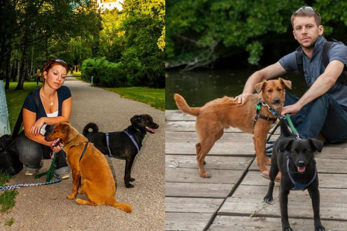 Ilustračný obrázok k článku Akcia, ktorá vás chytí za srdce: Mladý párik plánuje netradičnú dovolenku, na svoje si prídu chlpáči aj z nášho útulku