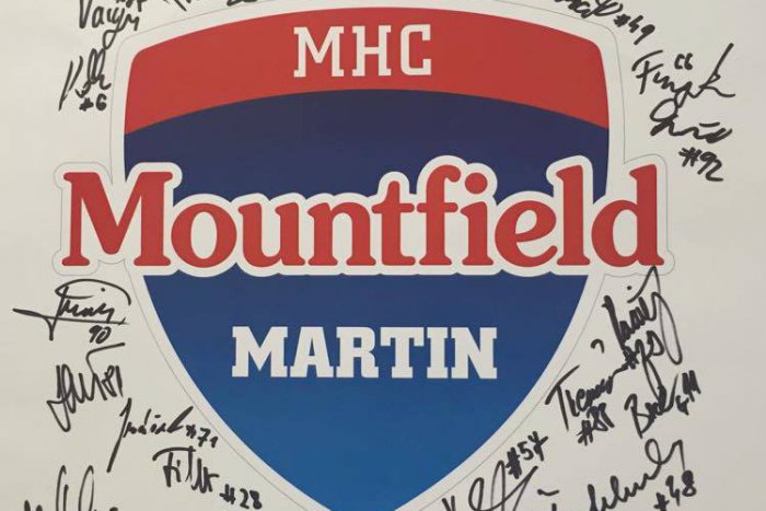 Ilustračný obrázok k článku Dobrá správa pred víkendom. Naši hokejisti ZÍSKALI EXTRALIGOVÚ LICENCIU!