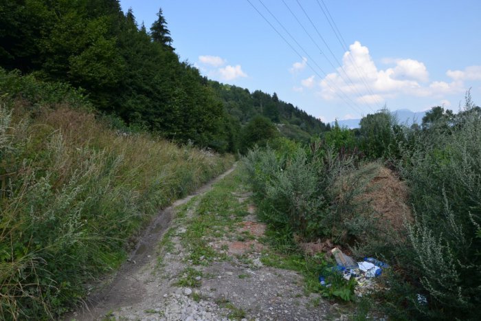 Ilustračný obrázok k článku Likvidácia čiernej skládky by mala stáť 90 000 Eur: Získa ich mesto od štátu?