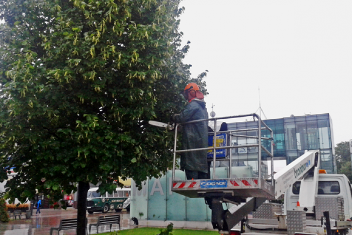 Ilustračný obrázok k článku Zeleň v Martine už nebude spôsobovať problémy: Mesto pokračuje v jej revitalizácii