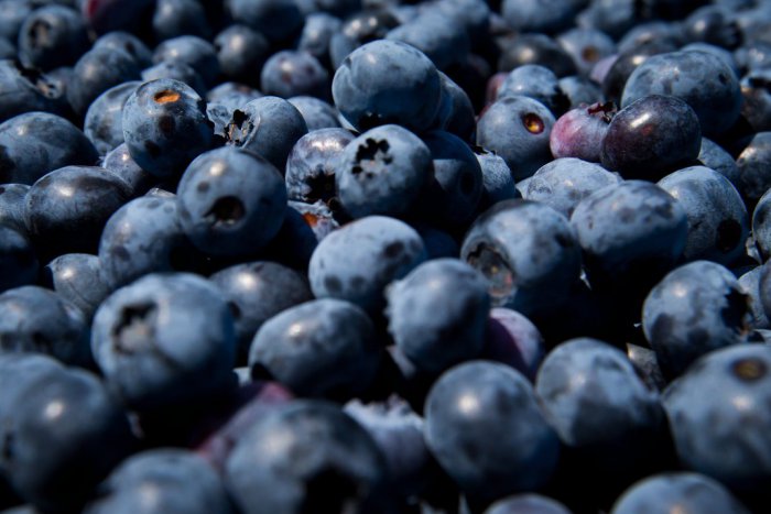 Ilustračný obrázok k článku Pozor na jedovatý halucinogén. Predavači pri cestách nepredávajú vždy čučoriedky!