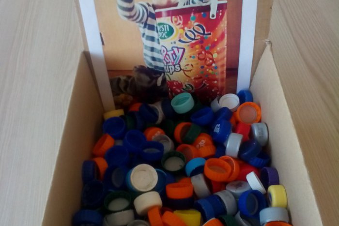 Ilustračný obrázok k článku SWAN, a.s., SK-NIC, a.s. a ĽudiaĽuďom.sk opäť pomáhajú: Dobrý skutok pre Tobiasa