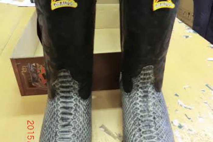 Ilustračný obrázok k článku V Žiline na colníkov čakalo prekvapenie: Na pošte zadržali obuv z pytóna!