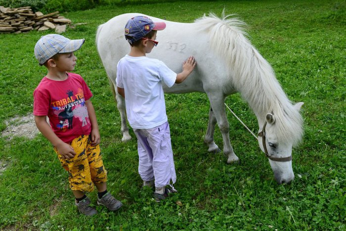 Ilustračný obrázok k článku Nedeľa je v Ružinove venovaná deťom