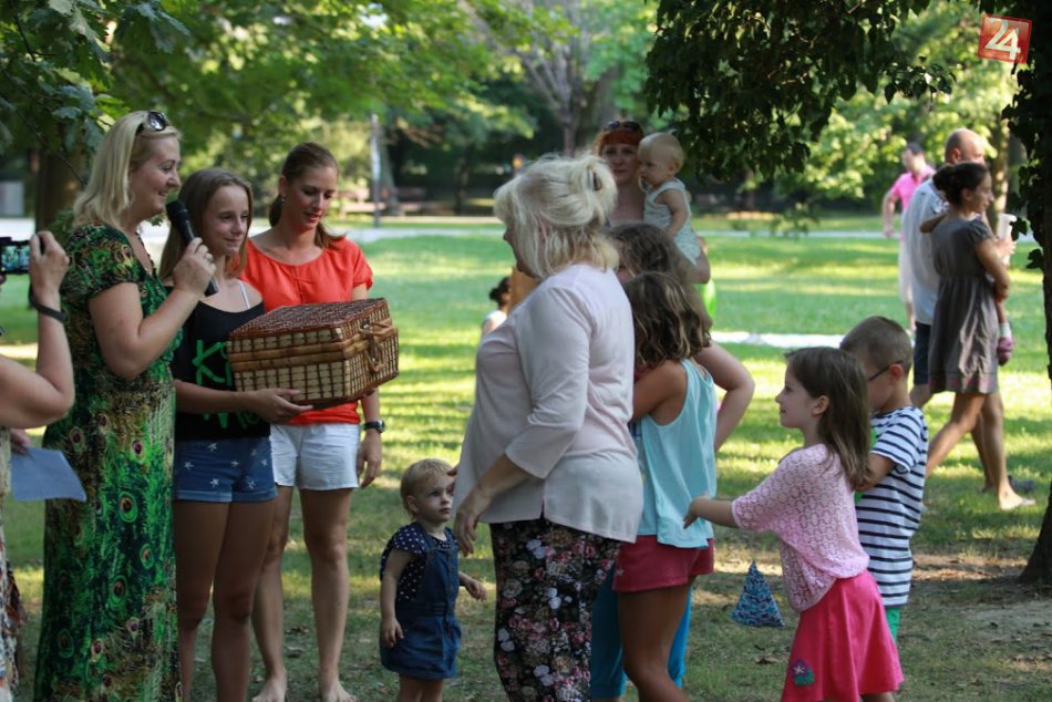 Ilustračný obrázok k článku Koncerty, sokoliari, či člnkovanie na jazere. Čo všetko prinesie Deň Borovej hory?